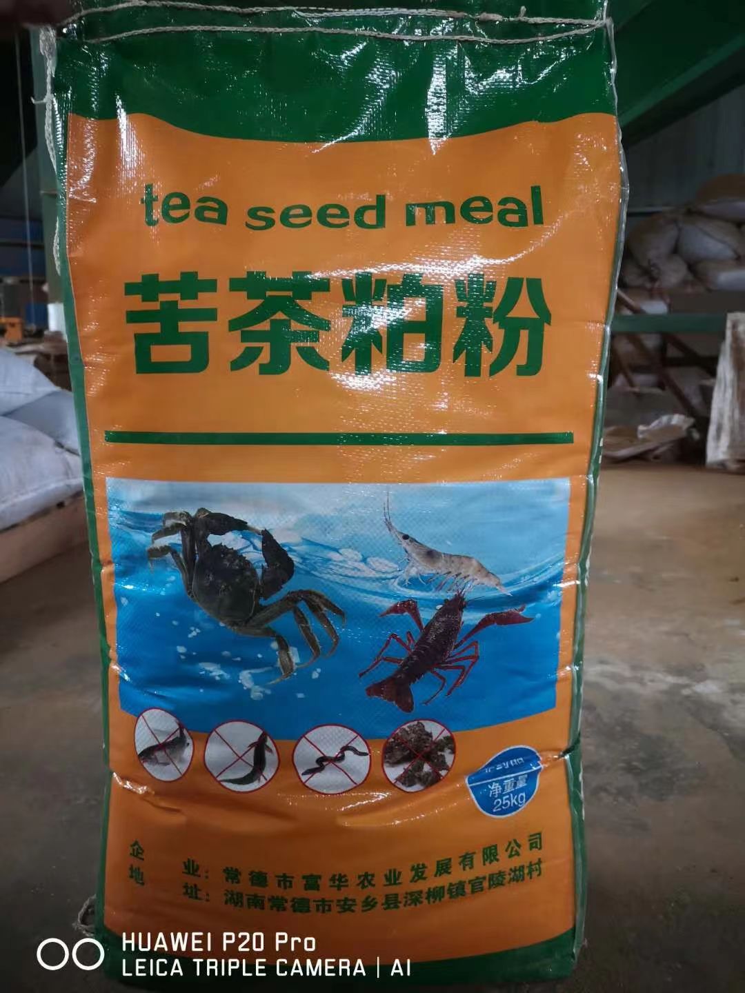 60 mesh tea seed powder 2